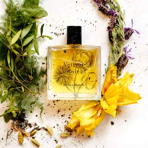 ベチバー インソレント オーデパルファム 100mL – INTERMODE KAWABE