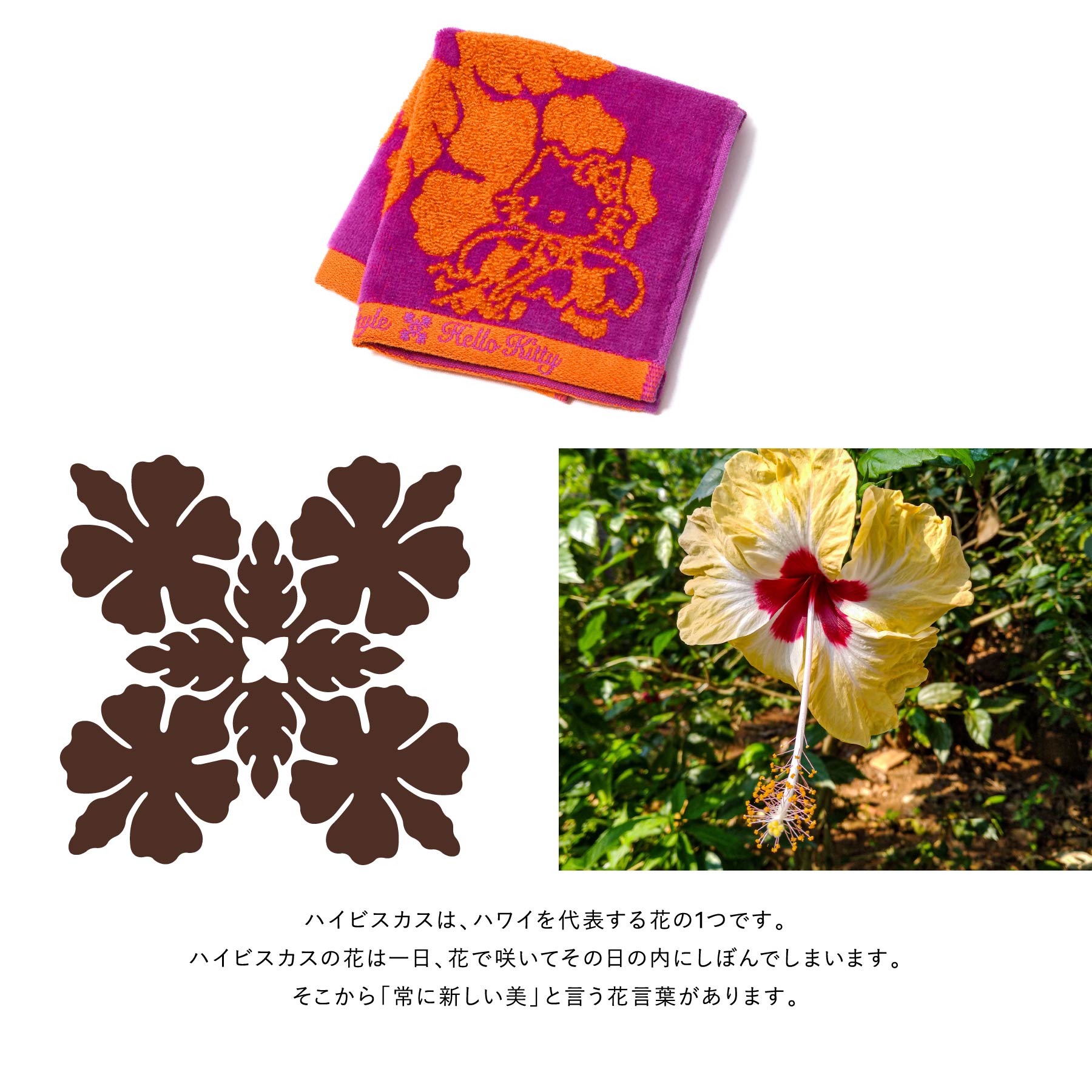 ミニタオル ハワイアンキルト柄 ハローキティ オーシャンシリーズ