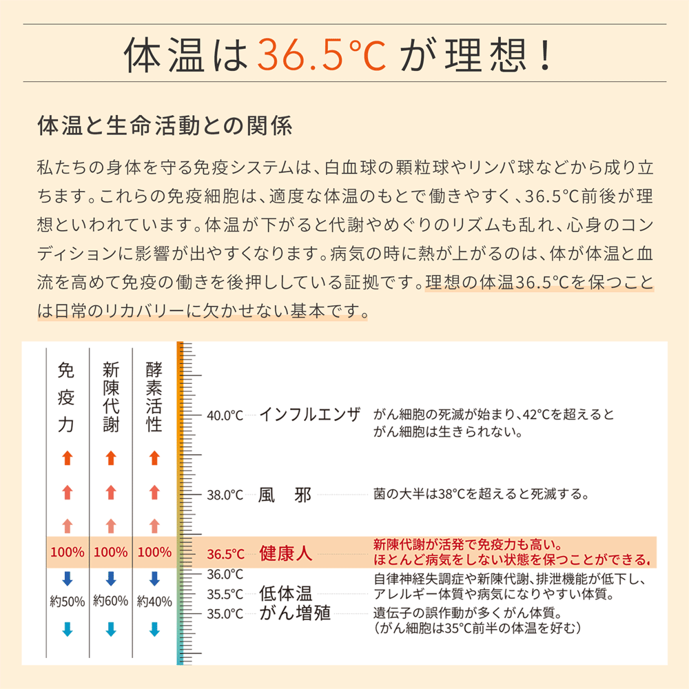 復元ウォーマー：ボディーチューブショート – LOUVREDO直営 公式