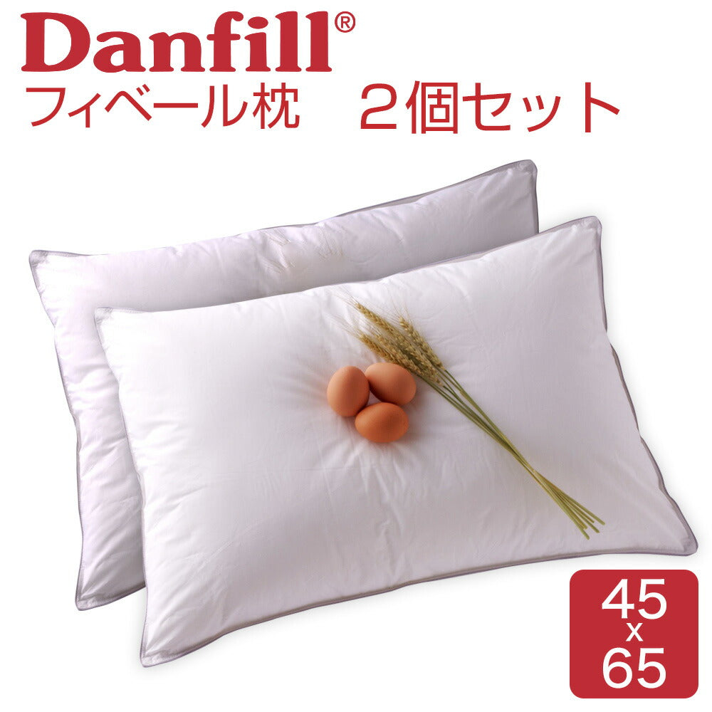 Danfill(ダンフィル) フィベールピロー 2個セット – 枕と眠りの