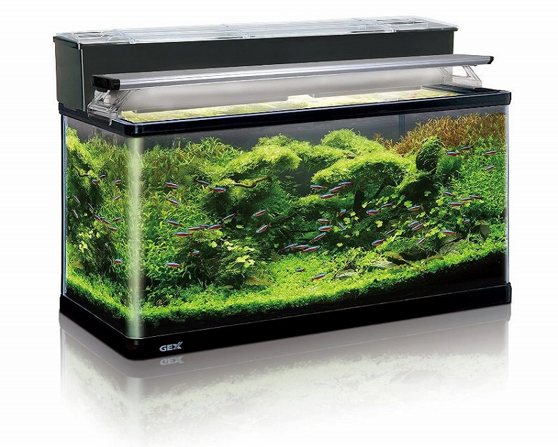 楽天市場】20台限定！GEX マリーナ900 LEDセット高機能フルセット