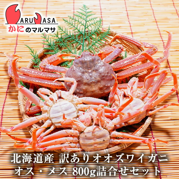 楽天市場】訳あり 活 オオズワイガニ オス・メス 食べ比べ 800g詰合せ