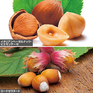 ヘーゼルナッツの苗｜タキイネット通販【公式】