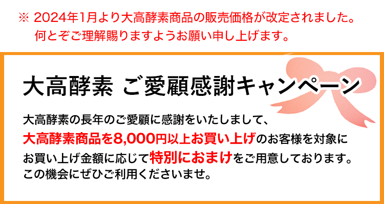 大高酵素 バスコーソ 100g×6袋 入浴剤 医薬部外品