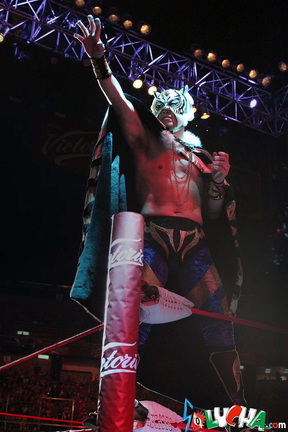 SOLUCHA.com / 【AAA】3代目タイガーマスク 実使用済マスク