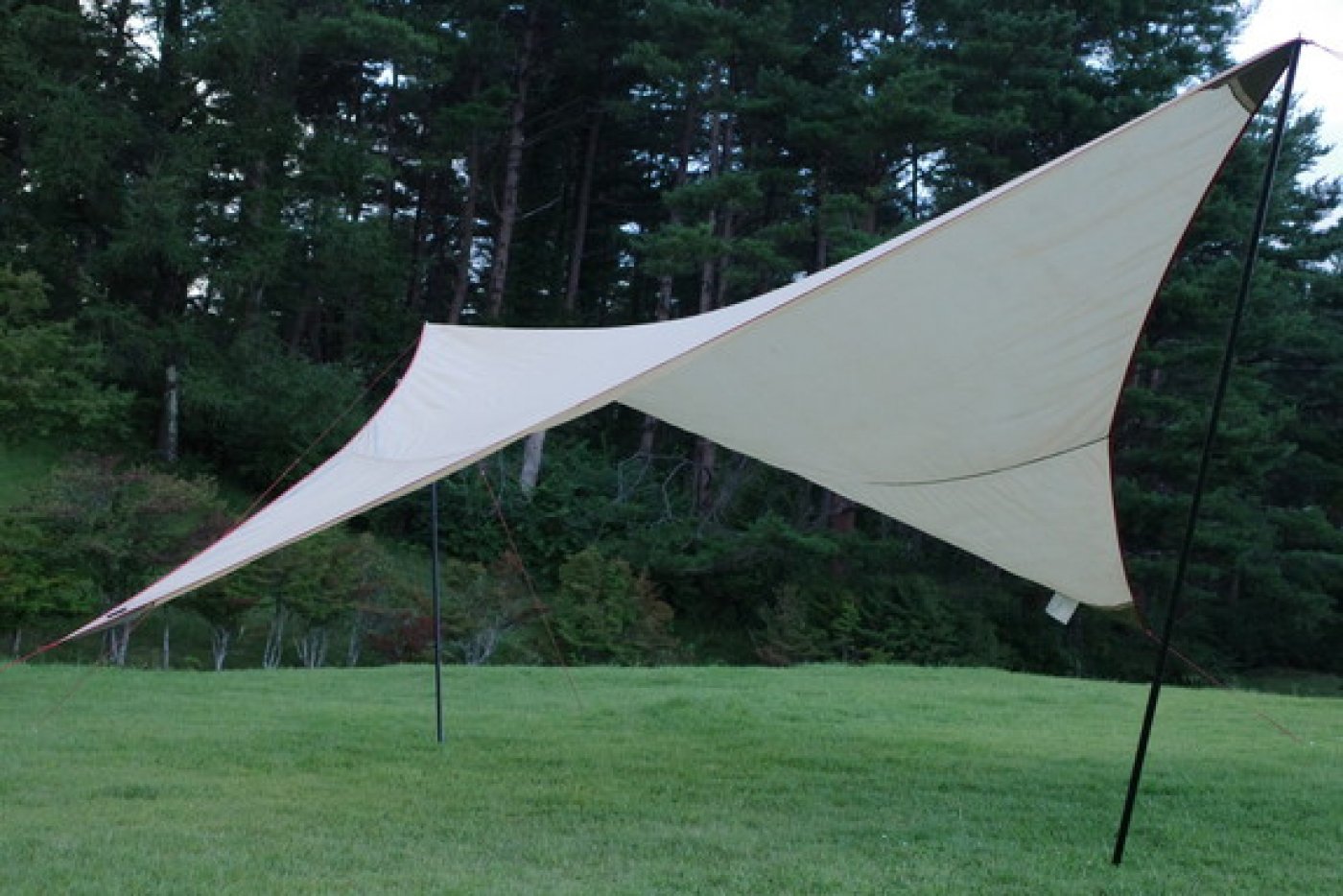 値下MSR 19'ParaWing パラウイングタープ
