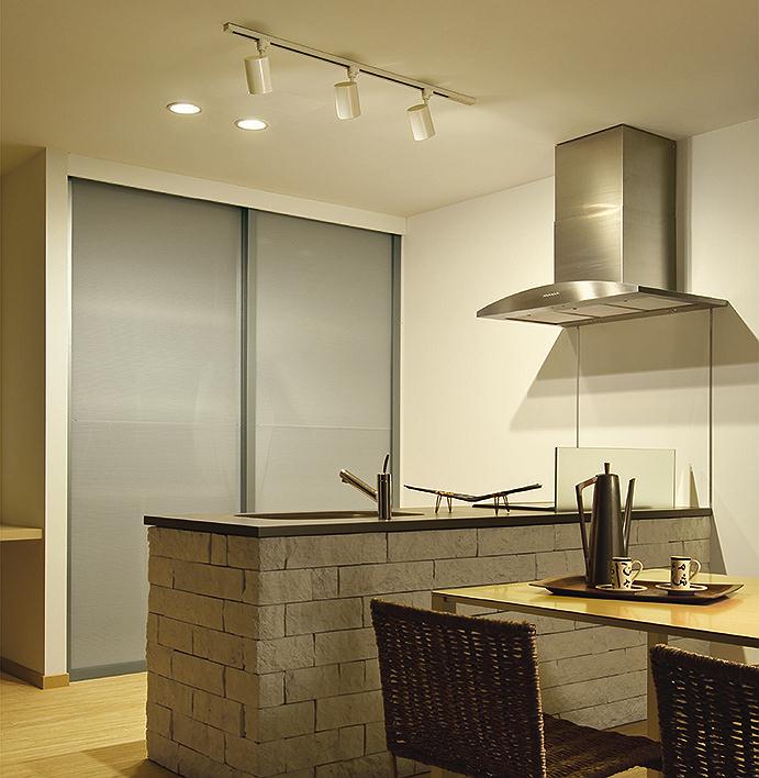 DAIKO 大光電機 直付専用アース付ダクトレール2m DP-00212EW | 商品