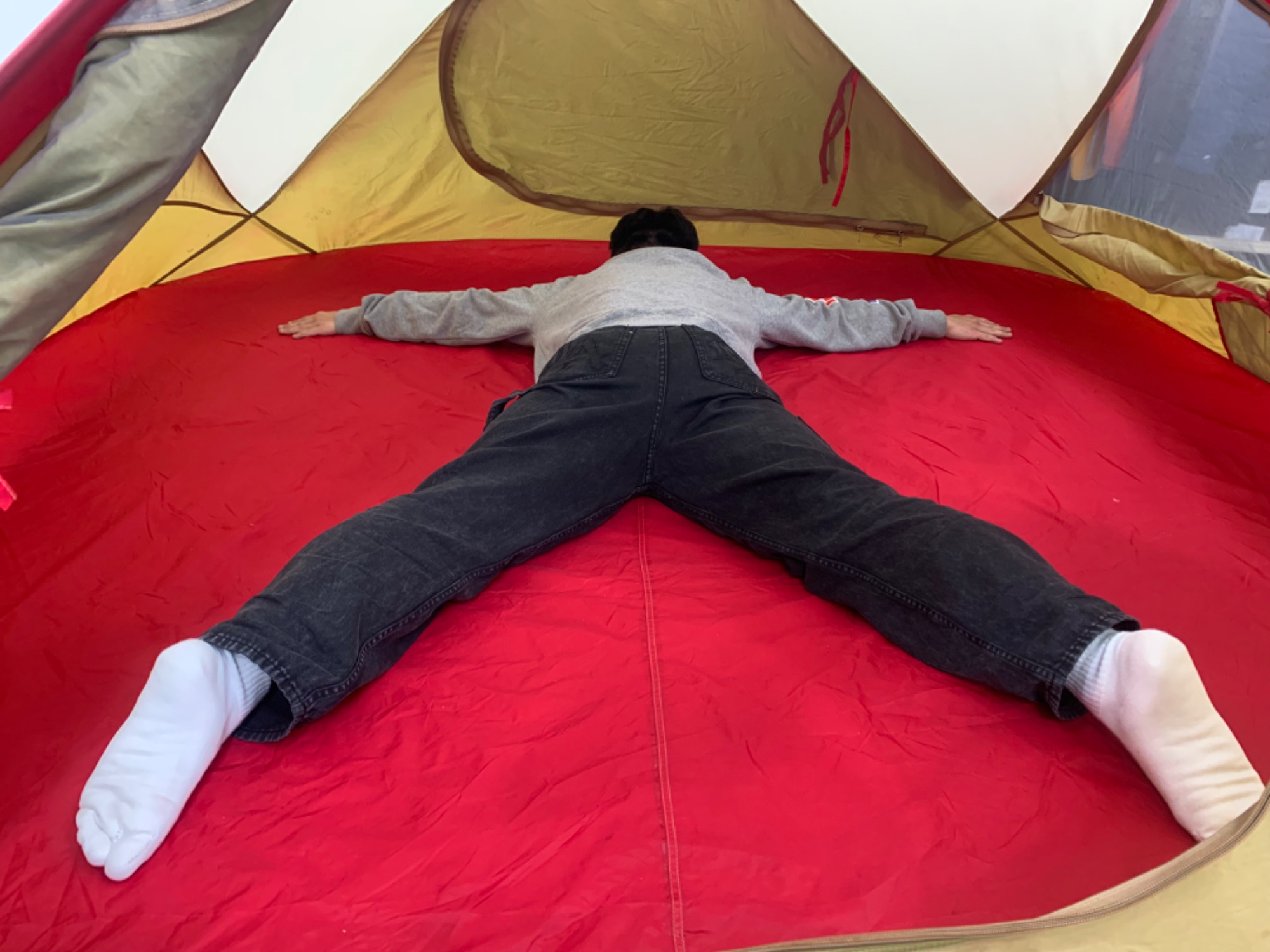 上を見上げれば花が咲く!!美を追求したMOSSテント【リトルディッパー