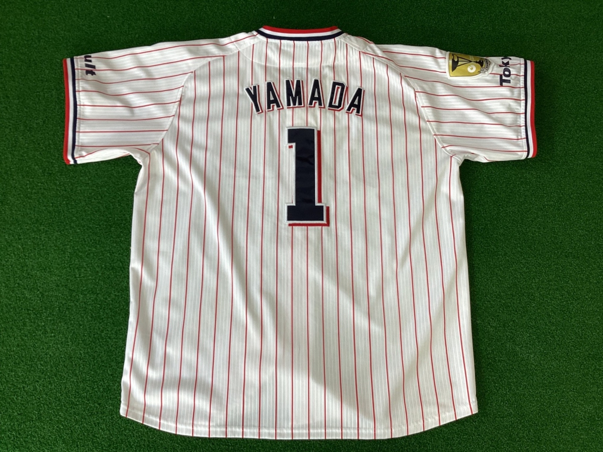 スタンド超えて打球は遥かな夢へと続く！ヤクルト山田哲人選手の