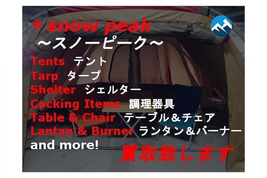 NEMO ワンポールテント アルパイン ペンタライト nemo(ニーモ）初の