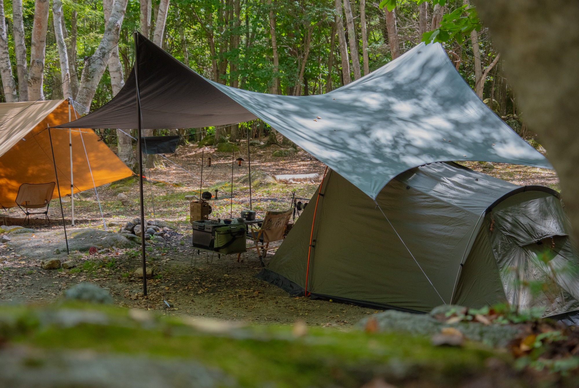 タープの最終到達点！？マックワンヘキサMの紹介！[2024.12.01発行