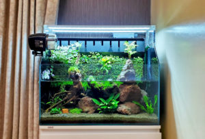 アクアテラリウム水槽設置事例｜札幌アクアガーデン