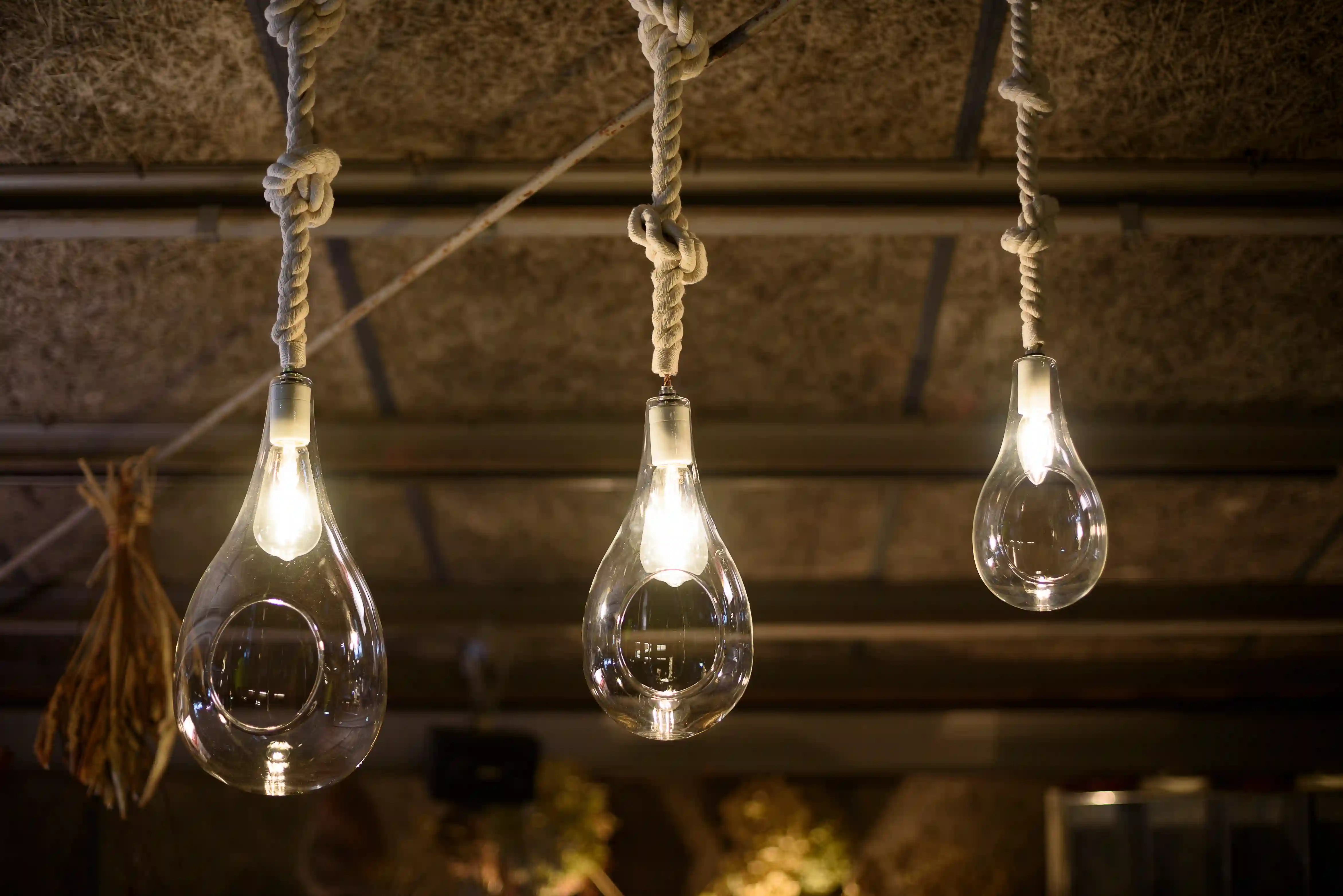 BOTANIC HANGING LIGHT | スワン電器 | SWAN