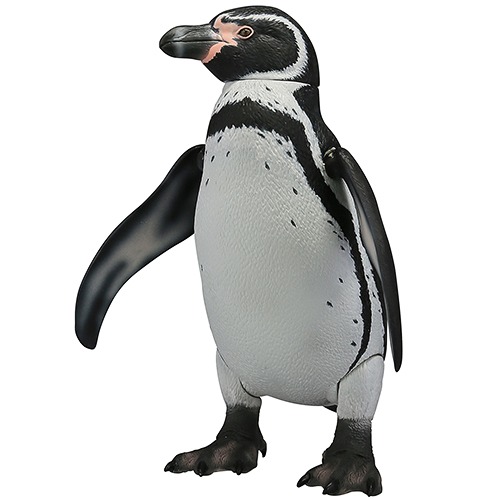 CDJapan : Soft Vinyl Toy Box 011 Penguin [Spheniscus humboldti