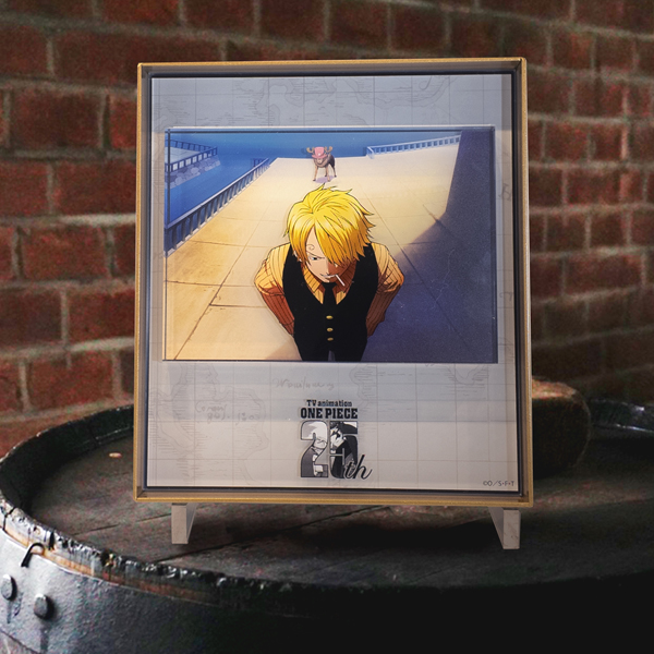 ワンピース】25 Eternal Shots プレミアムアクリルアートフレーム 13