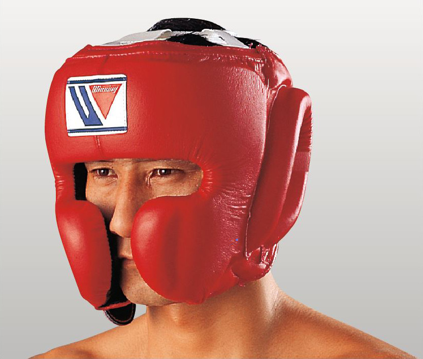 FG-2900 Headgear