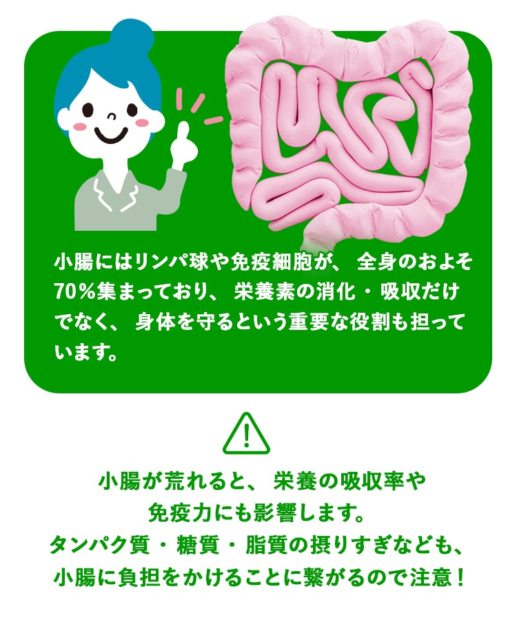 定期購入キャンペーン】LAVA BRM1.3［1箱コース：10％OFF］(50包／箱