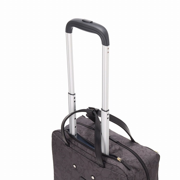 ace.／エース HAyU ユッカ キャリーバッグ 17841(01：ブラック): ace