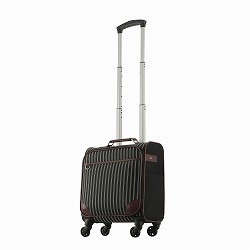 キャリーバッグ（ソフトケース）ランキング: ｜エース公式通販