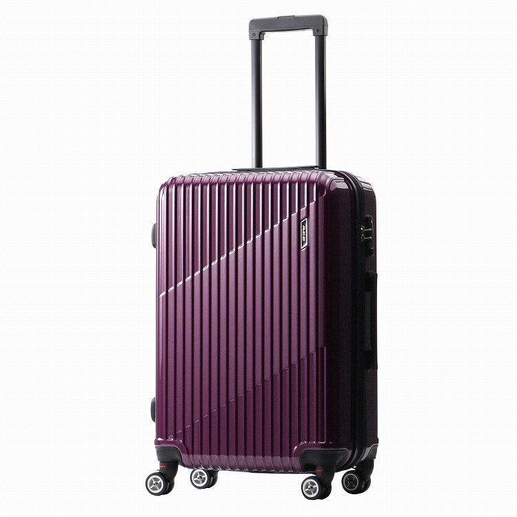 WEB限定】 ACE クレスタ スーツケース 64/70L エキスパンド機能 06317