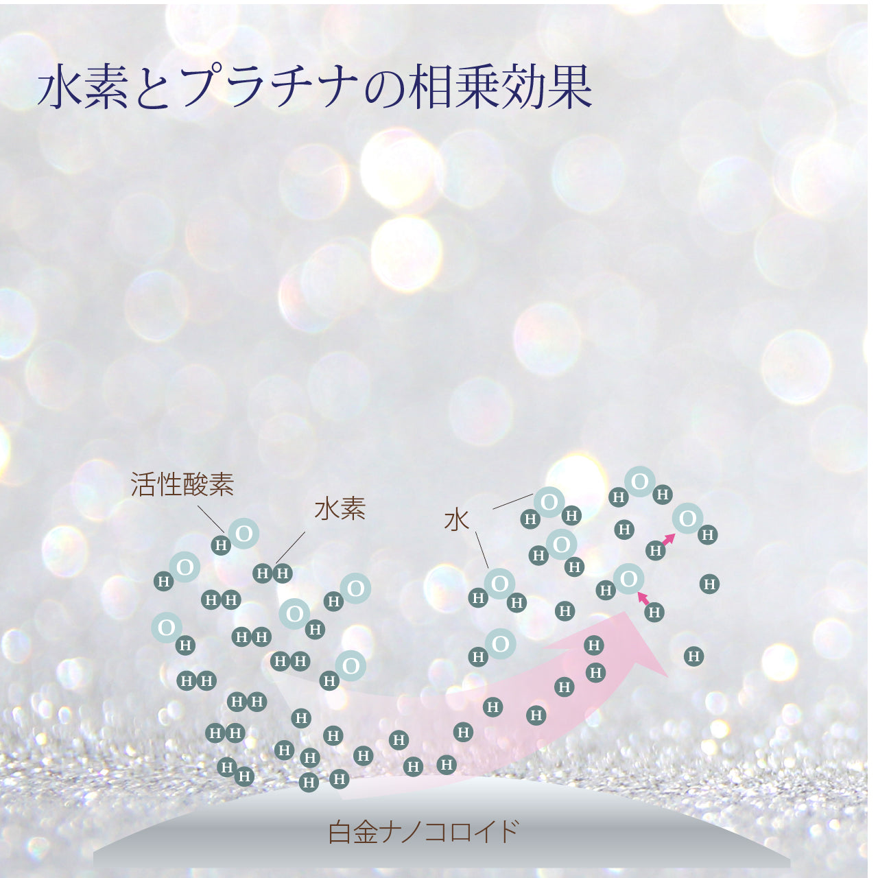 フミエEX – ビエストオンラインストア