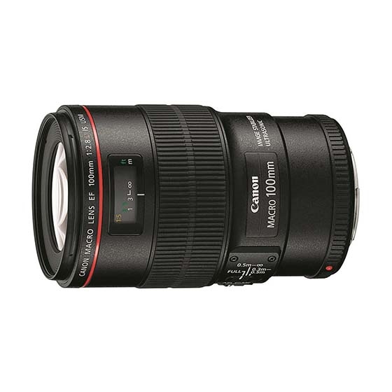 販売終了】EF100mm F2.8L マクロ IS USM:交換レンズ 通販｜キヤノン