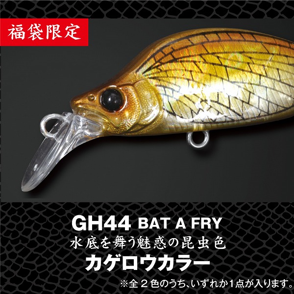 メガバス 数量限定 2025限定カラー入りまとめ売りセット メガバス 2025