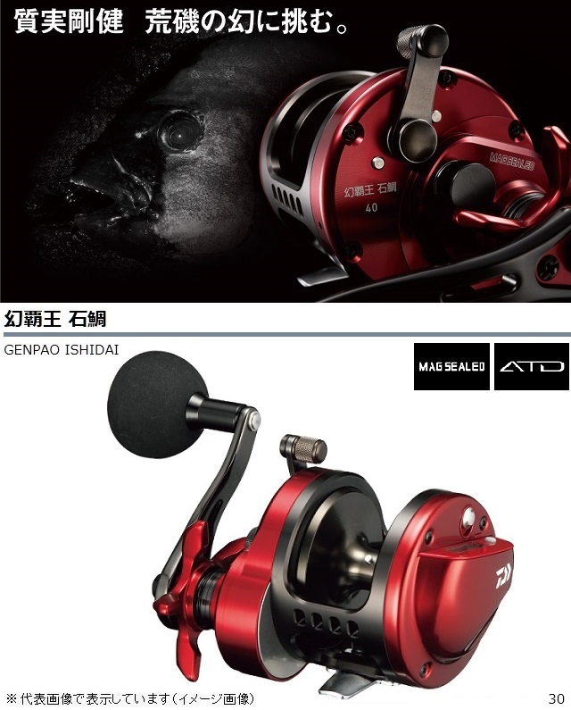 ダイワ(Daiwa) 幻覇王 石鯛 30(30): 竿｜釣具の通販ならキャスティング