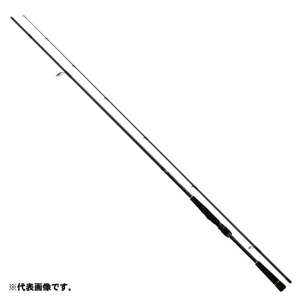 特価】ダイワ ラテオ R 93ML 2019モデル (スピニング2ピース): 竿