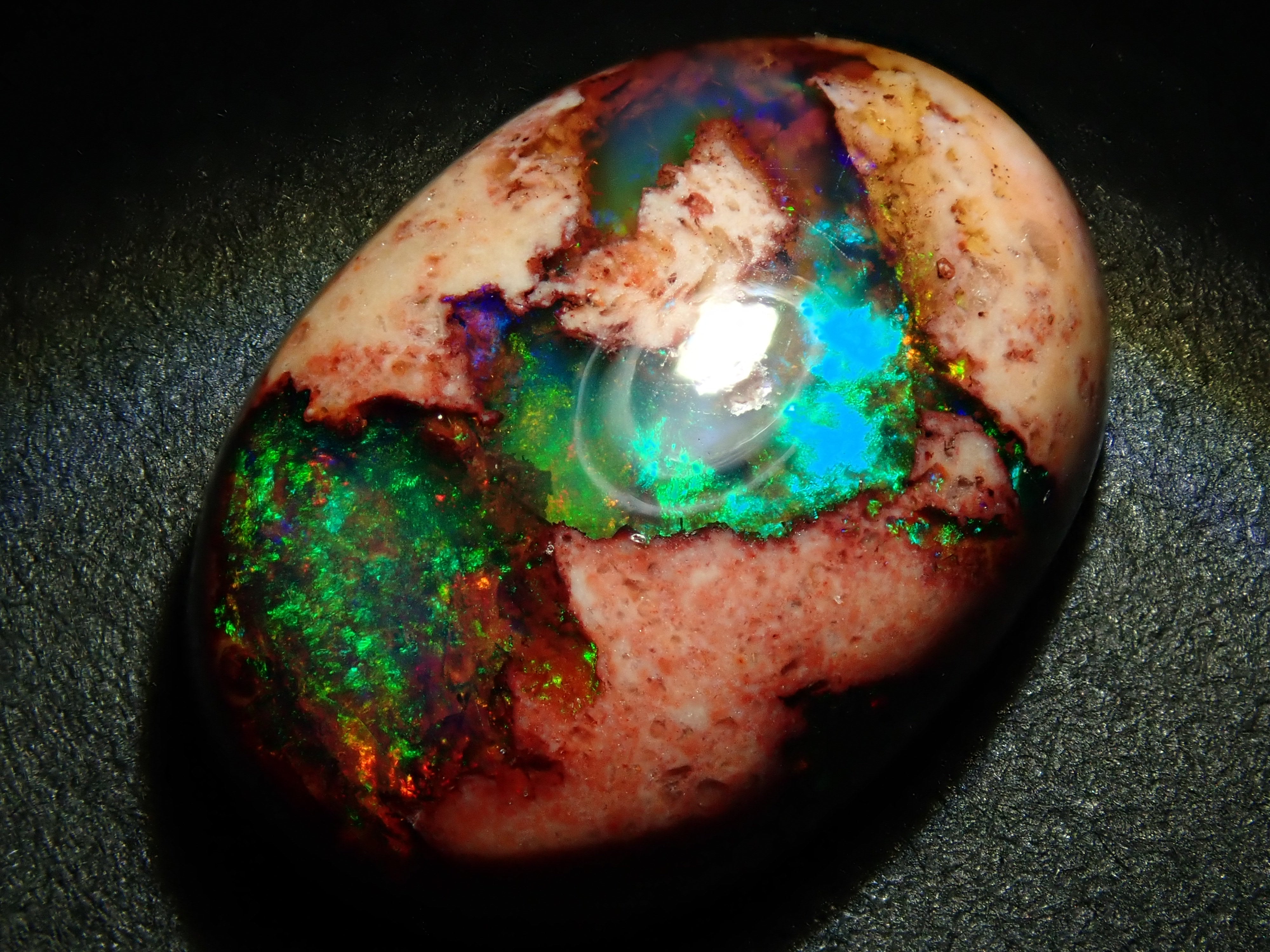 P4183070.jpg?v=1755911048&