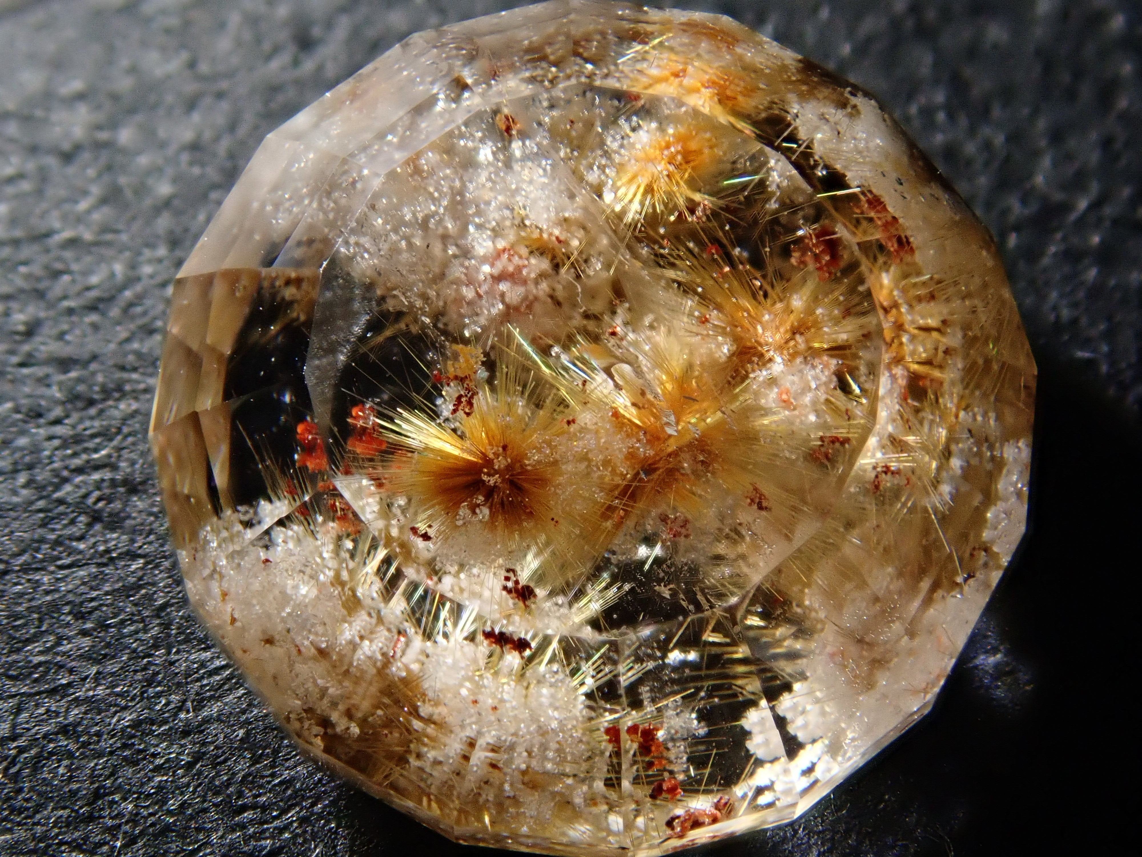 P8025449.jpg?v=1722593478&