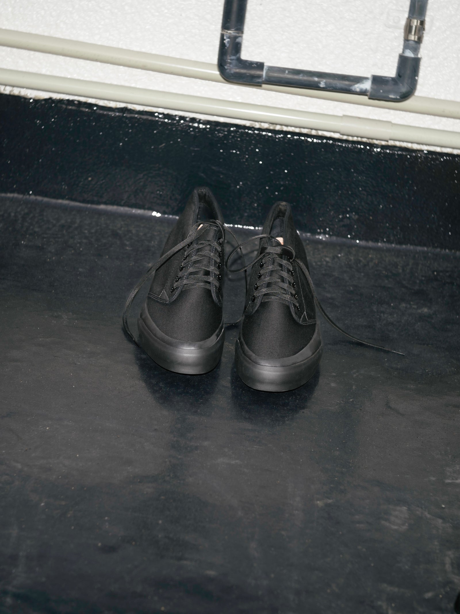 VP549608 - Noir – PERSICA