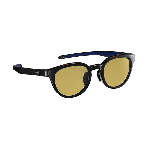 Eyevol サングラス LEIFER レイファー | 【Eyevol vol system