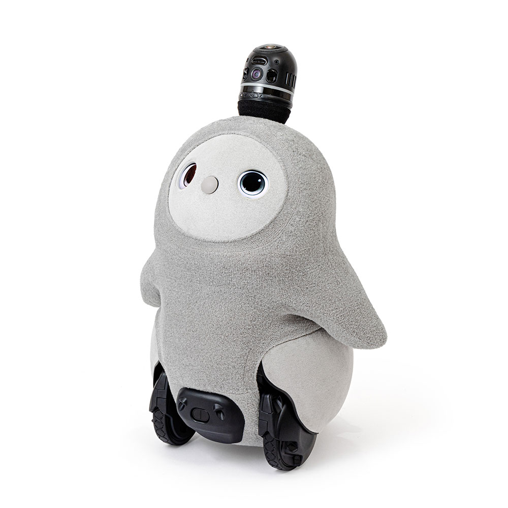 動作確認済み ネスト・服つき】ラボット 本体 デュオ 動作確認済み