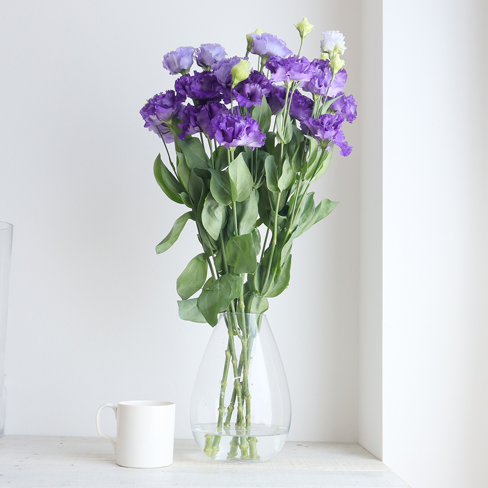 生花】トルコギキョウ (濃い紫・八重フリンジ)ボヤージュB、セレブB