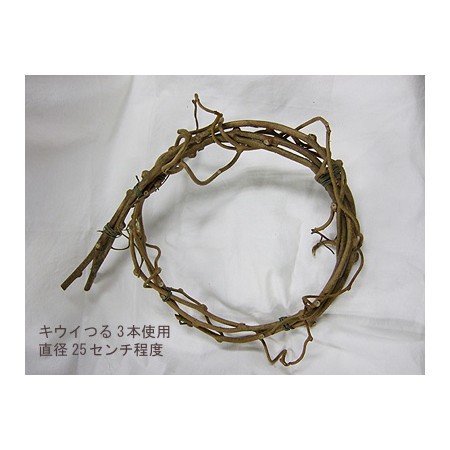 生花/即納】【ドライ】キウイのつる(L)【P0-03】 - 花材通販はなどんや