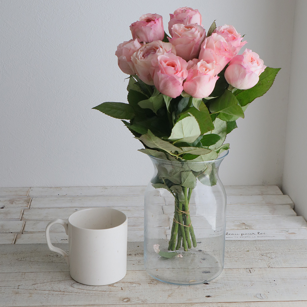 生花】バラ アンジェリークロマンチカ(ピンク)□今週のオトク【IT-23