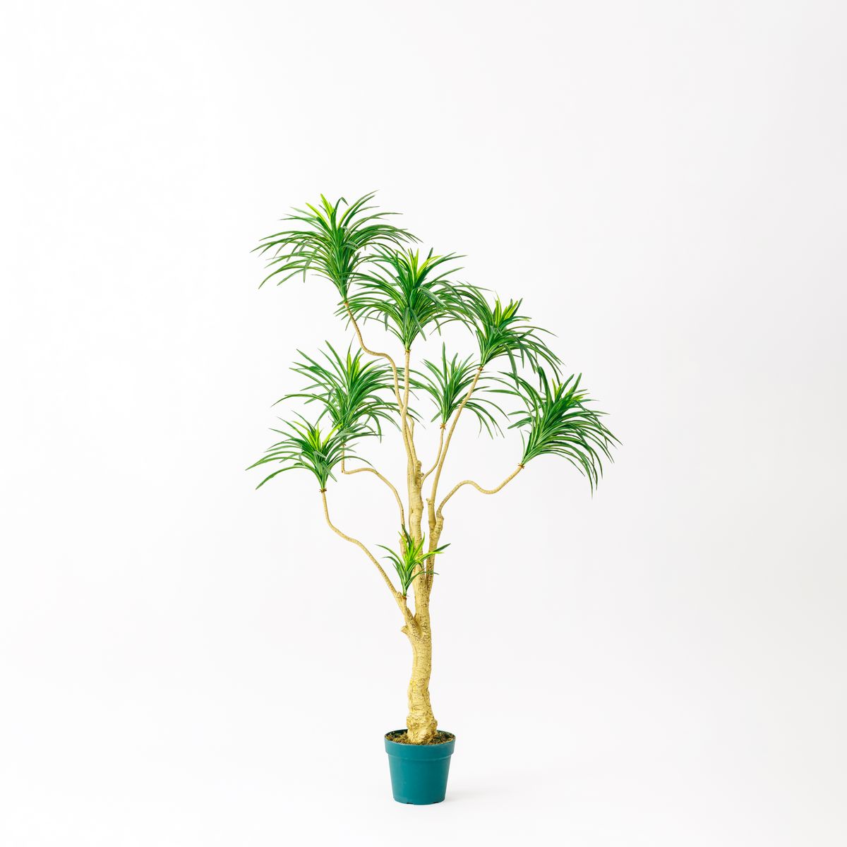 直送】【人工観葉植物】アスカ/ユッカツリー (ポット付) グリ-ン/A