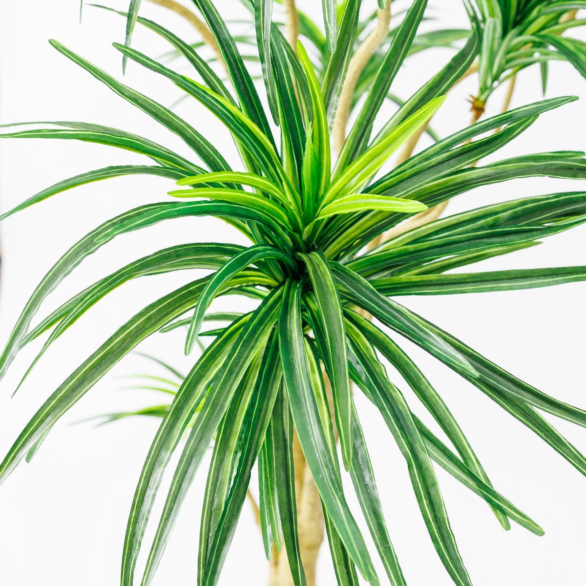 直送】【人工観葉植物】アスカ/ユッカツリー (ポット付) グリ-ン/A
