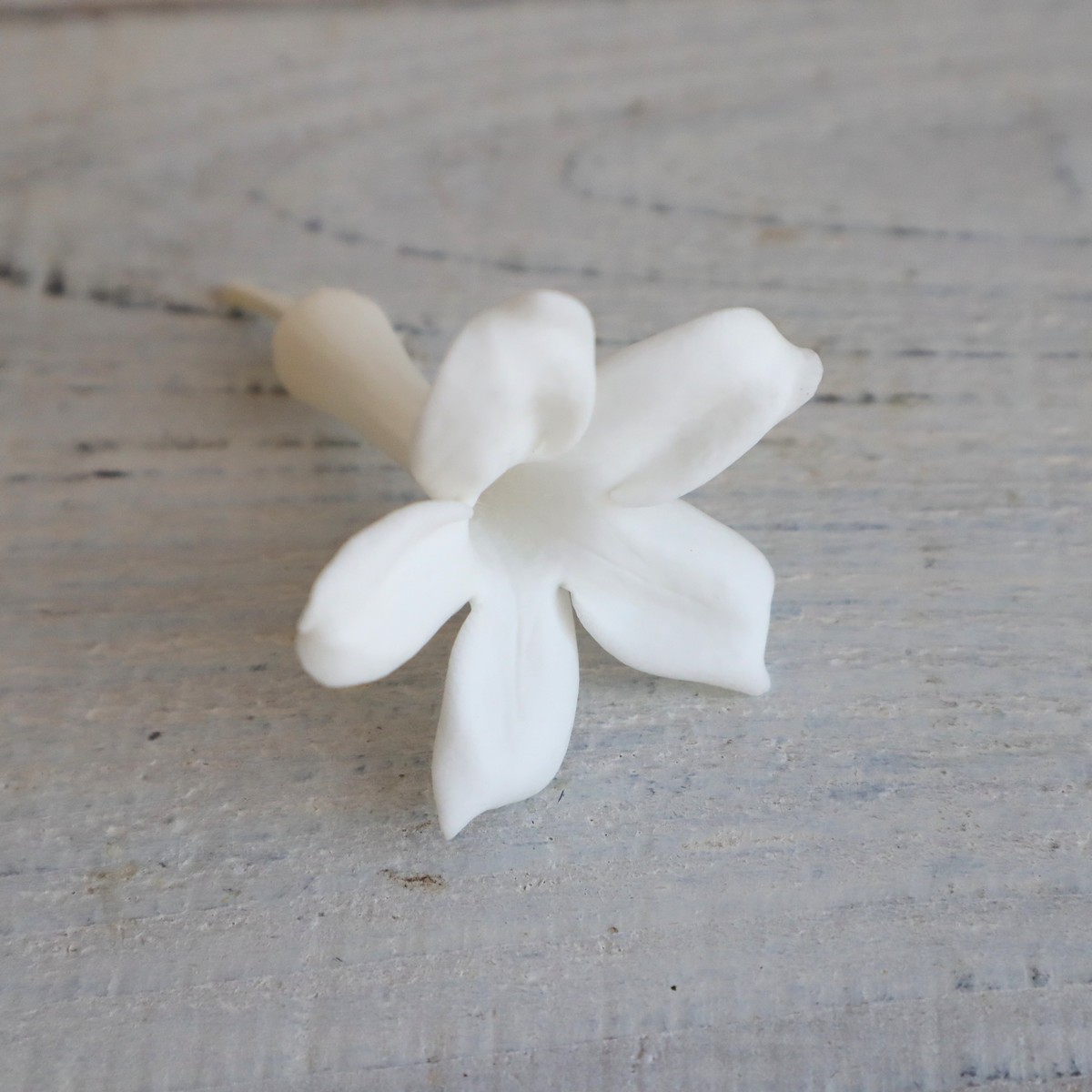 即日☆【プリザーブド】南原農園/ジャスミン・ホワイト 12輪入り - 花