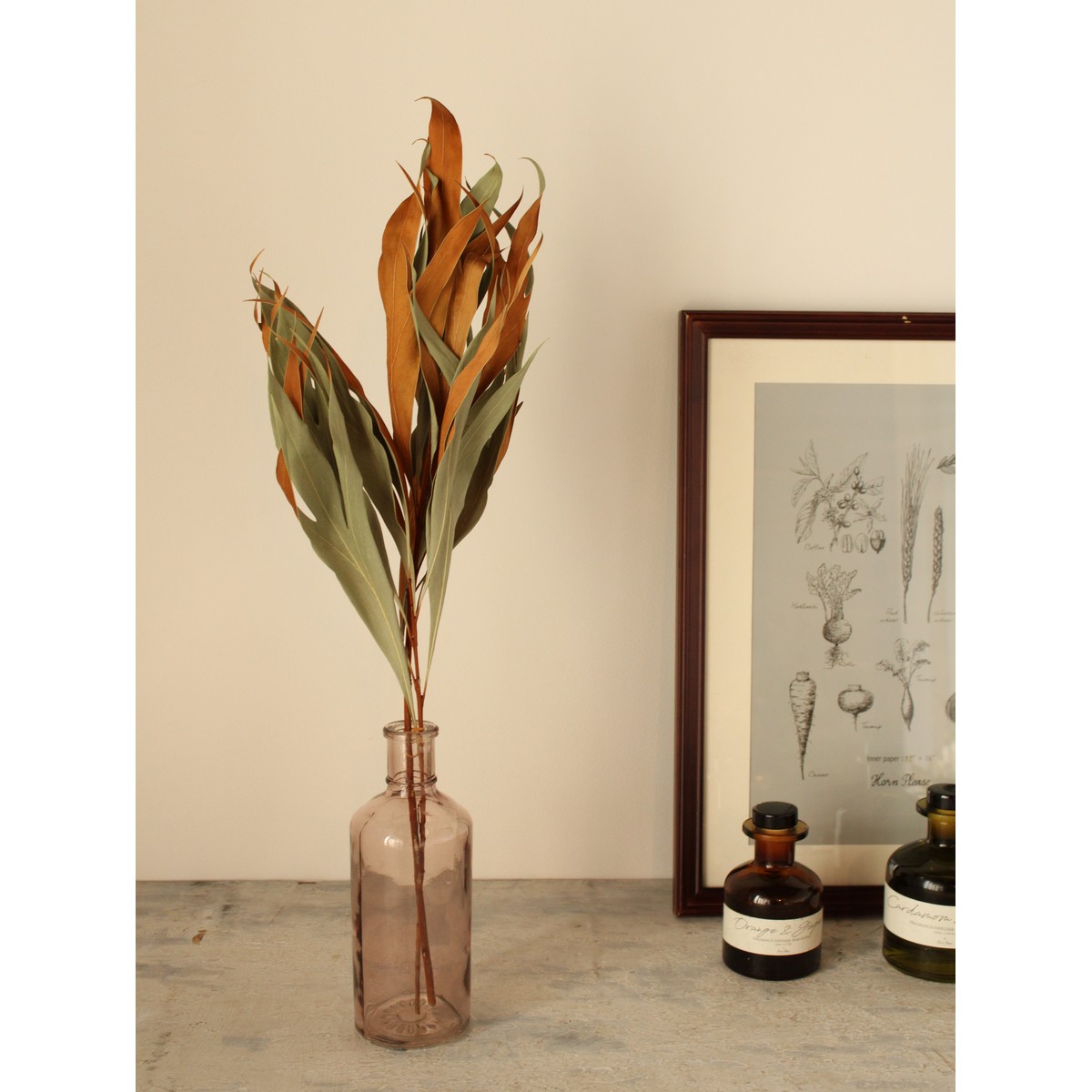 即日☆【ドライ】大地農園/グレビレア・ゴールド 2本 N/16200-000 - 花