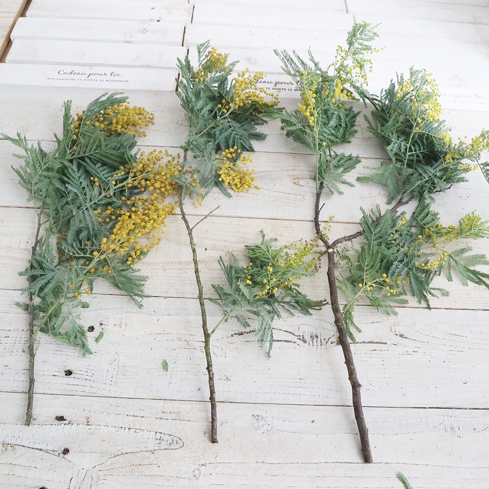 生花】ミモザとグニユーカリのシンプルスワッグ☆はなどんやキット