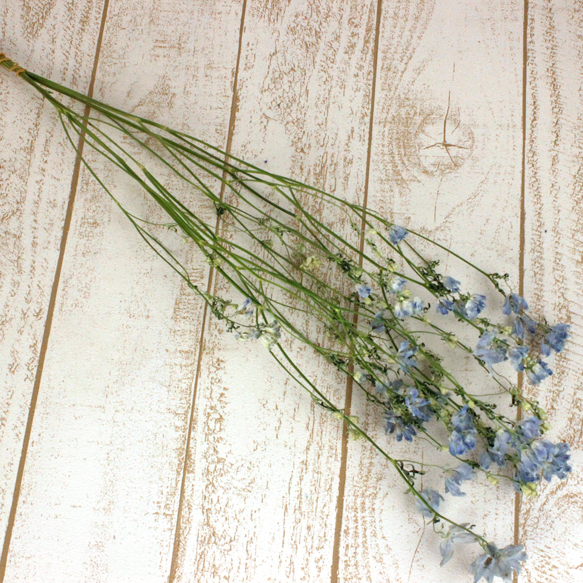 ドライ】J・flow/デルフィ プラチナブルー(水色スプレー)束3〜5本 - 花