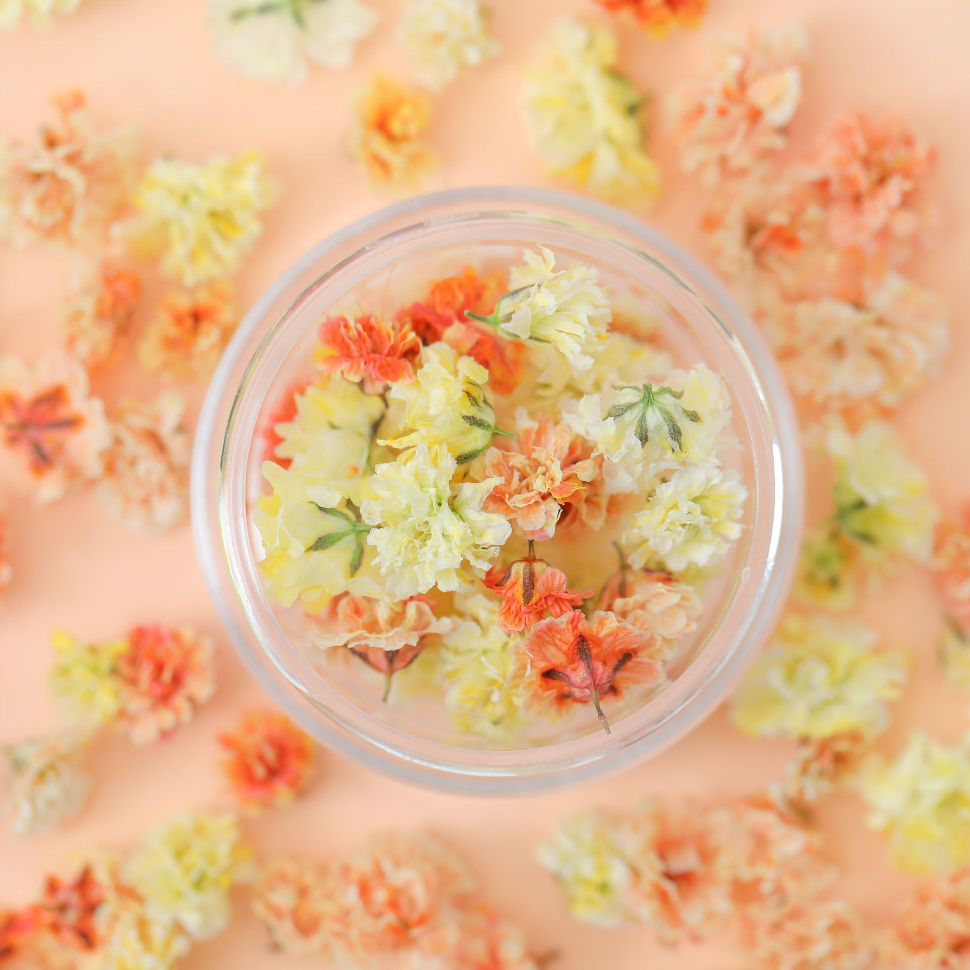 ResinArt❁NICOLE❁様◇ドライフラワー：染色 かすみ草 （844