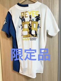 希少】日ハム レイエス 月間MVPユニフォームLサイズ☆お値引き可
