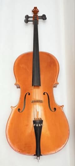 m44869359135_1.jpg?1748506926