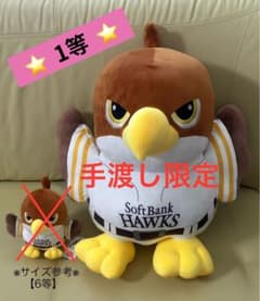 m46243791462_1.jpg?1757222137