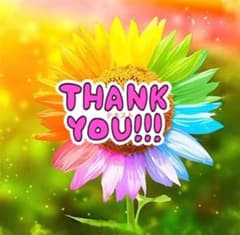 訳あり品 doTERRA ヤローポム 15ml 2本セット｜新品・割引有 - メルカリ