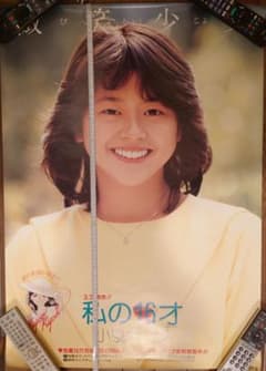 m46997360695_1.jpg?1732549299