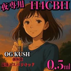 夜専用 H4CBHリキッド0.5 mlCBD CBN HHBD CPX ○47 - メルカリ